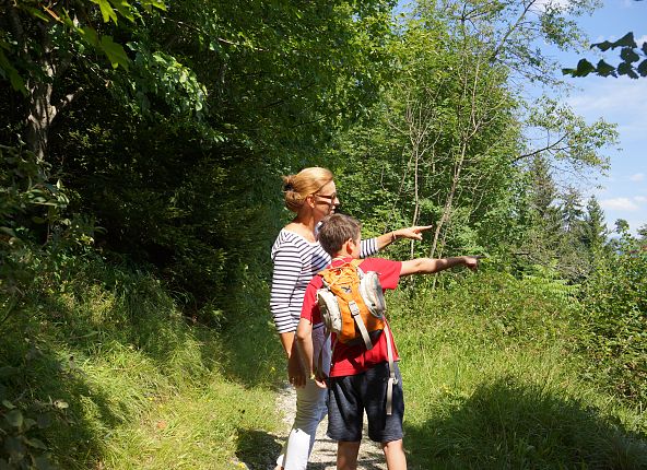 Gnadenwald tree trail