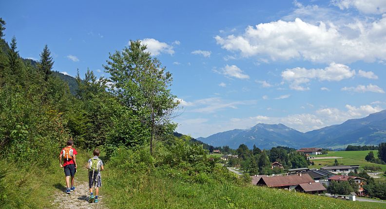 Vista sul sentiero alberato di Gnadenwald