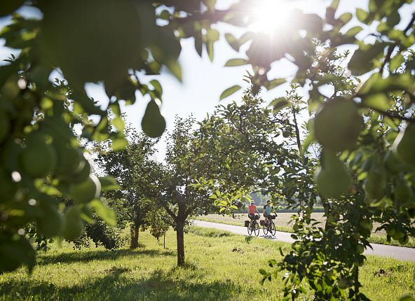 innradweg-hall-in-tirol-radfahren-tirol-werbung-1-1