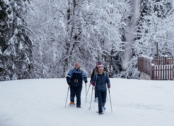 nature-watch-auf-schneeschuhen-hall-wattens