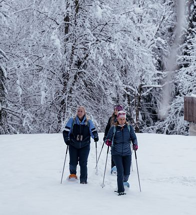 nature-watch-auf-schneeschuhen-hall-wattens