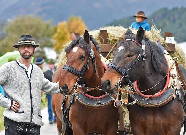 Pferdeherbst Mils Parade of horses in Mils