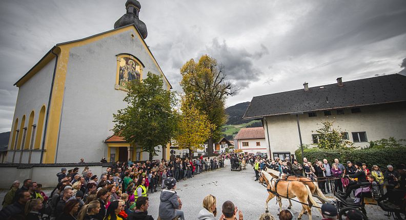 Horse Autumn Mils near Hall in Tirol