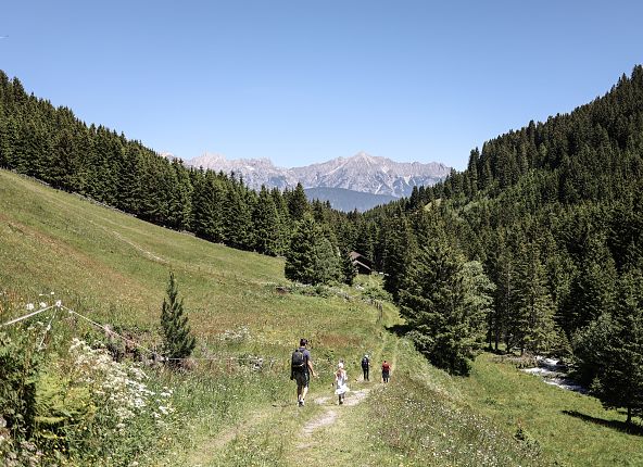 Hiking in the Volder Valley