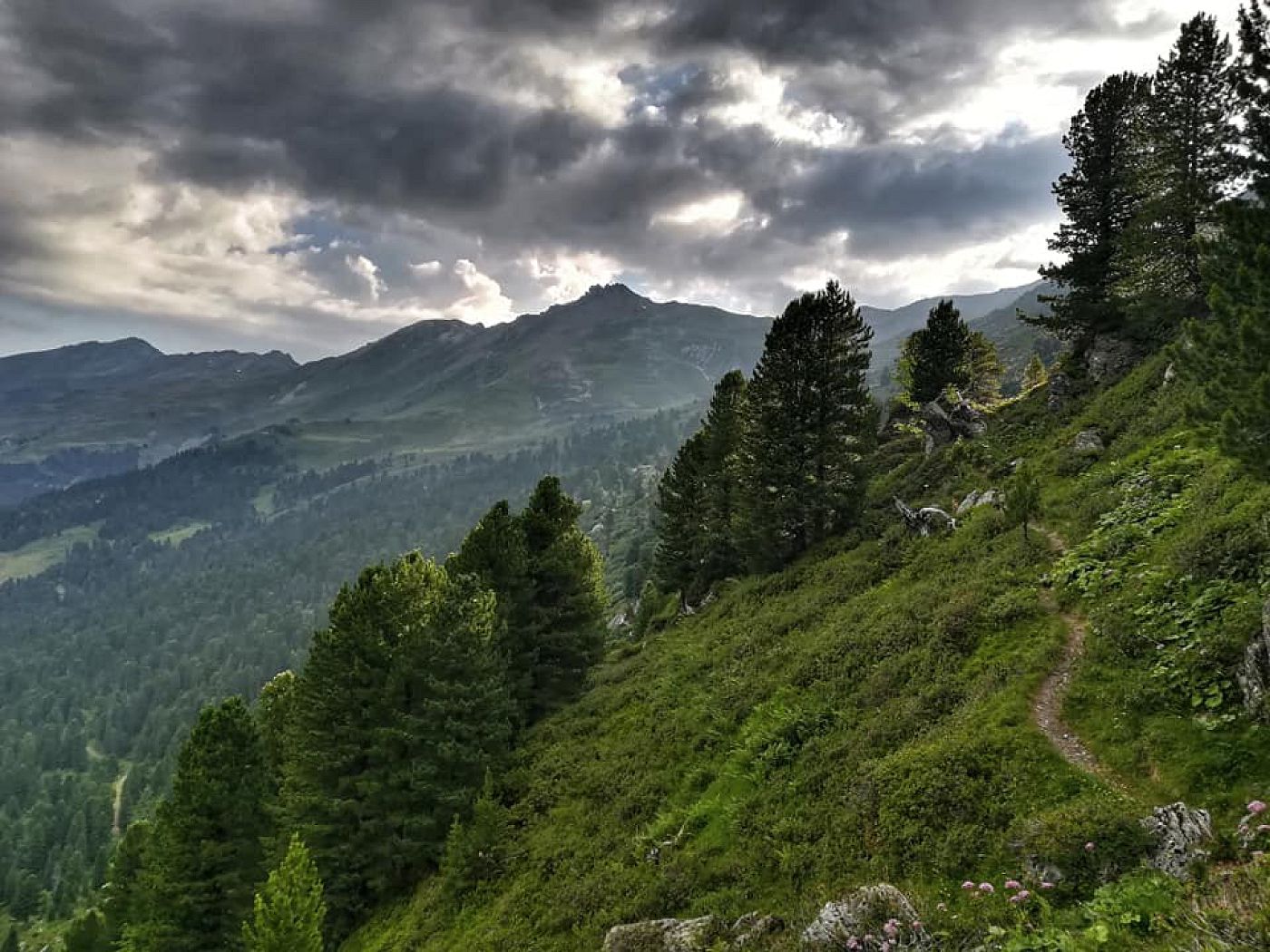 7_Weg zur Weidenhütte