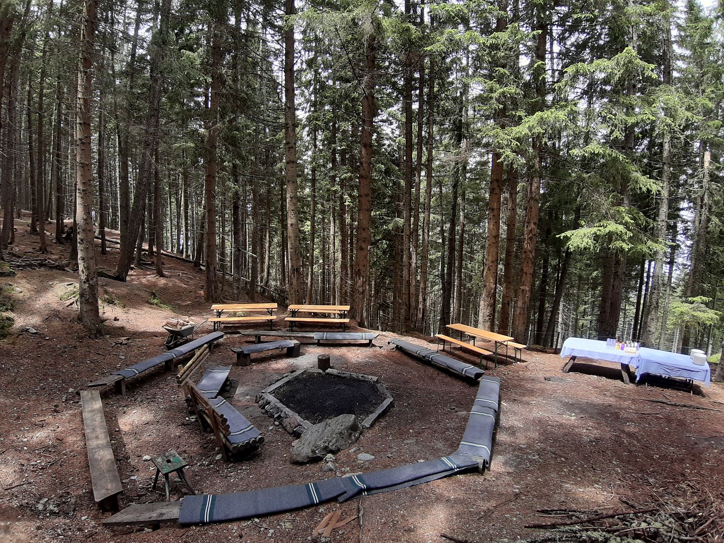 Lagerfeuerplatz im Wald neben Haus Gufl_©Gregor Drewes