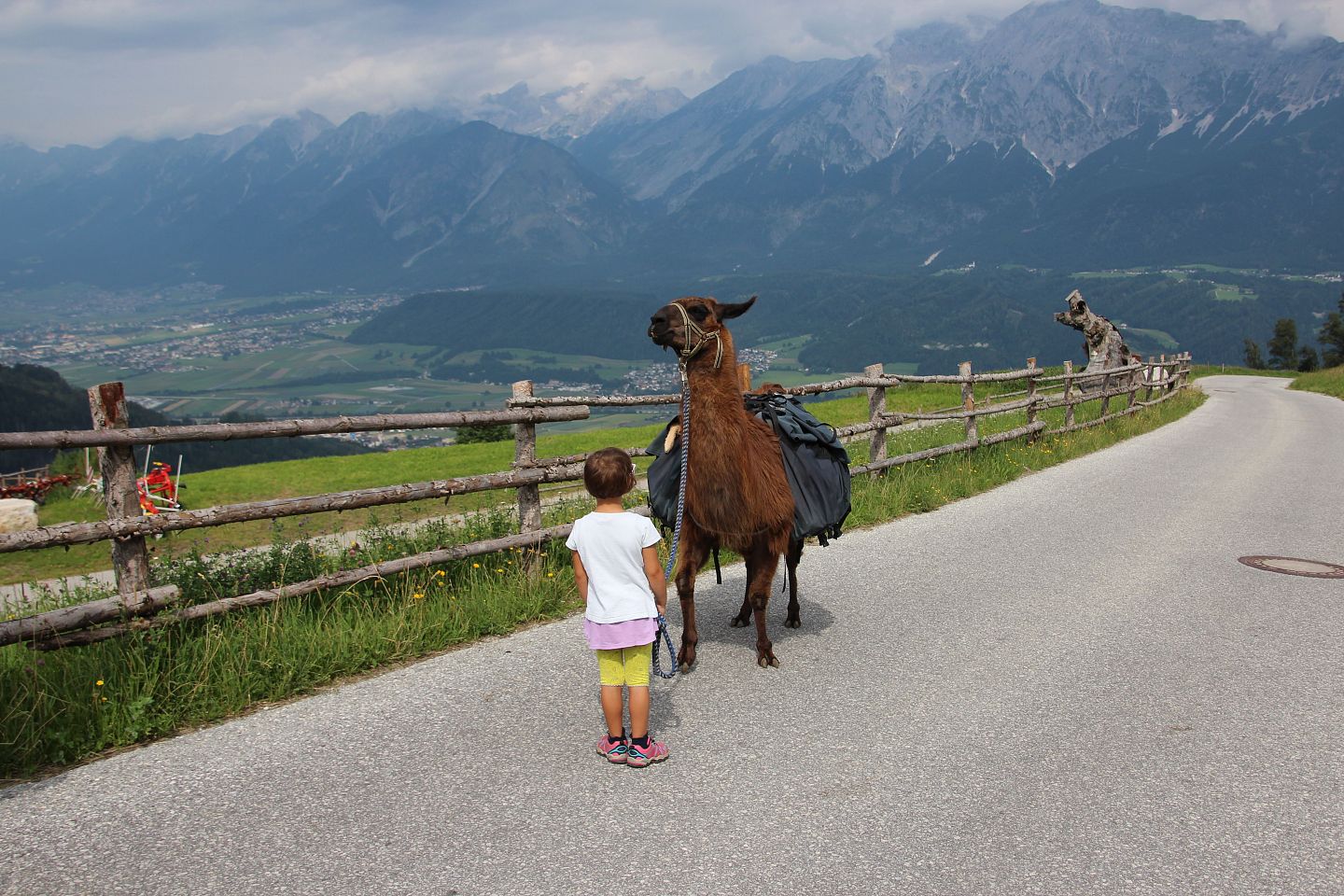 Lamatrekking_Wattenberg_KinderFamilie_01_©hall-wattens.at