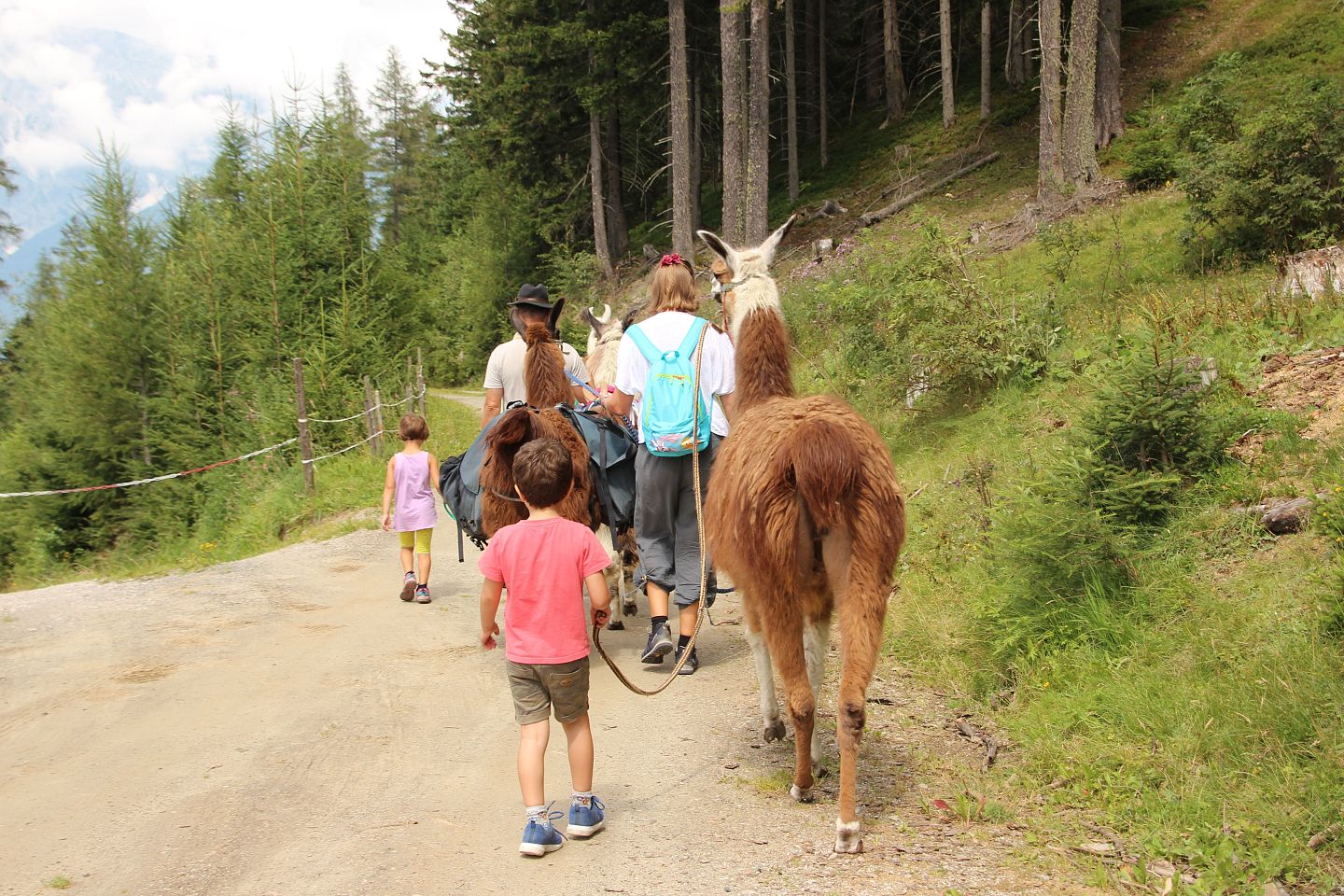 Lamatrekking_Wattenberg_KinderFamilie_09_©hall-wattens.at