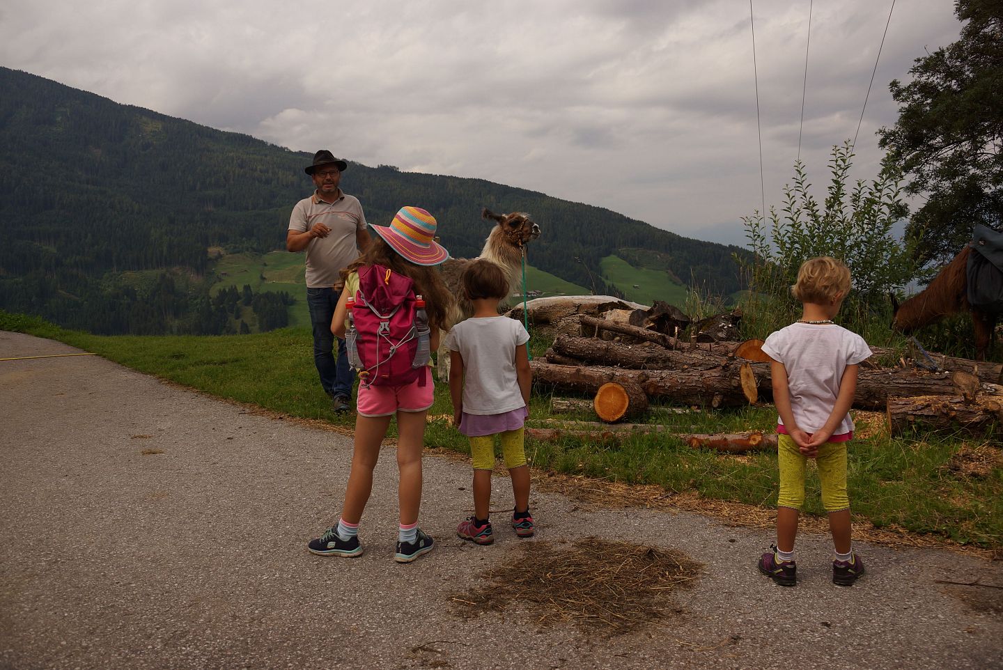 Lamatrekking_Wattenberg_KinderFamilie_©hall-wattens.at