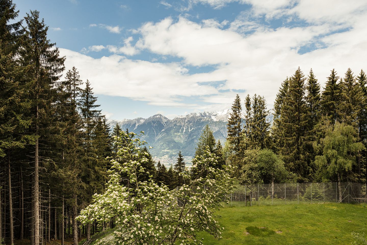 Waldblick Haus Gufl