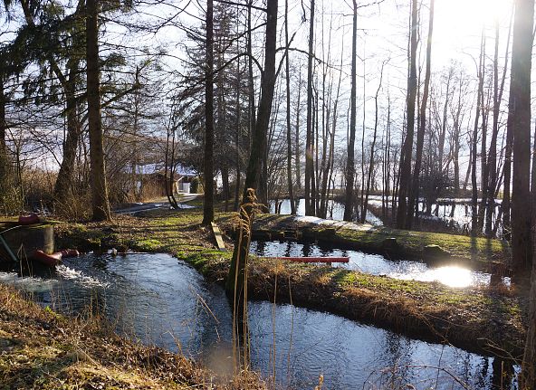 fischzucht-thaur-kulinarik-hall-wattens