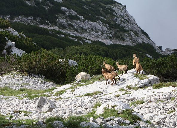 karwendel-hoehenweg-chall-wattens