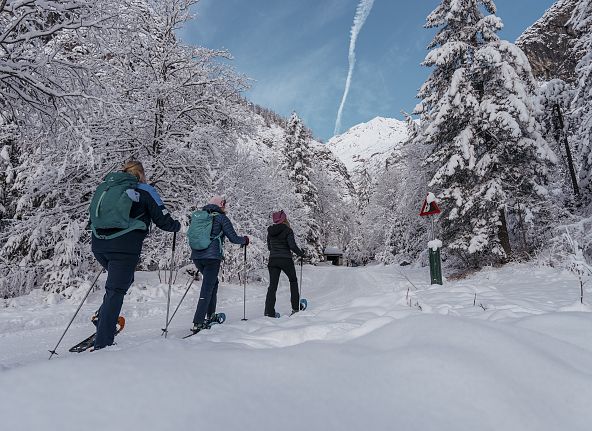 nature-watch-auf-schneeschuhen-hall-wattens