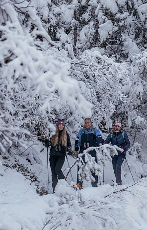 nature-watch-auf-schneeschuhen-hall-wattens