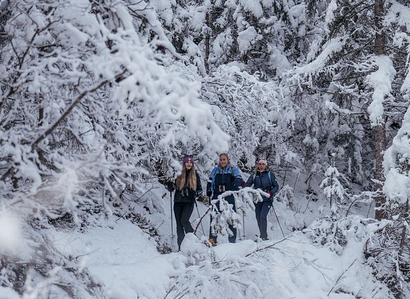 nature-watch-auf-schneeschuhen-hall-wattens