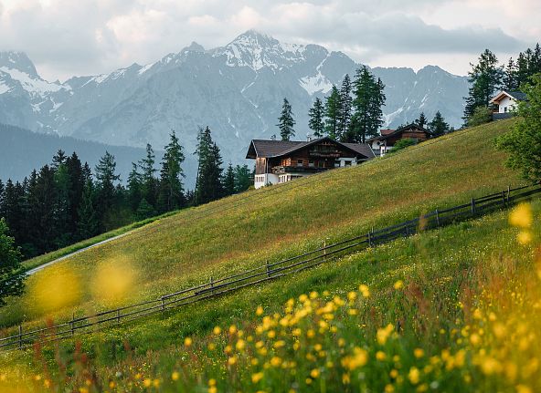 wattenberg-fruehling-tirol-berge-3